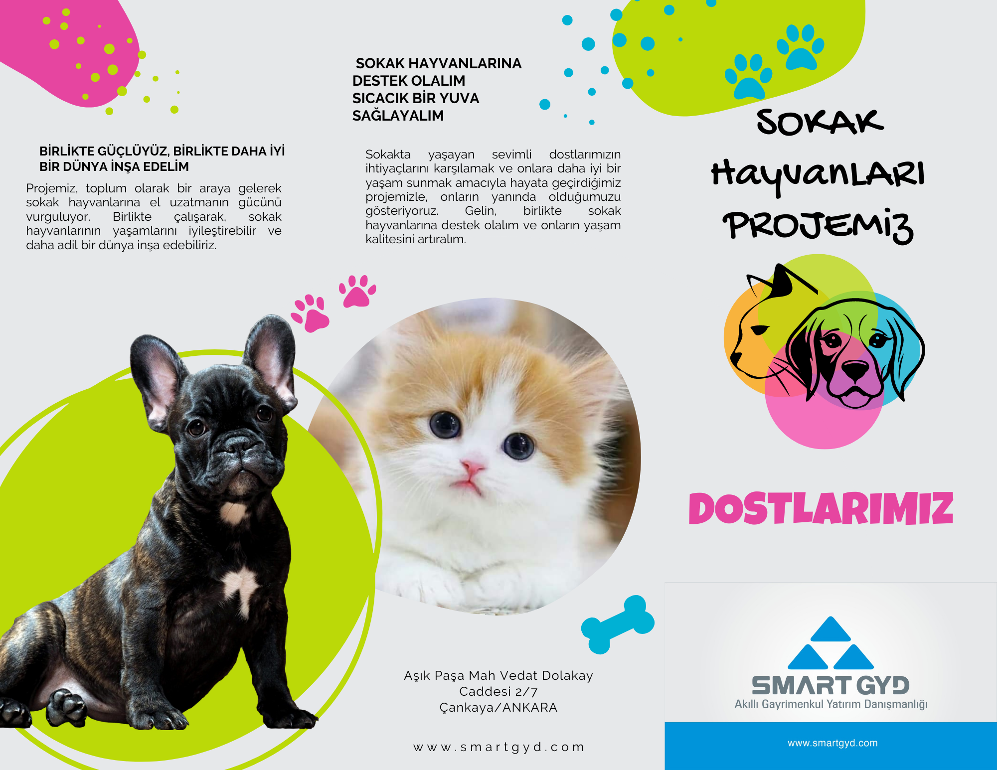 renkli-sevimli-evcil-hayvan-dukkani-tanitim-brosur-cb2b1bb2.png
